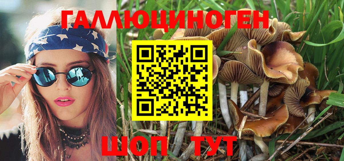 Галлюциногенные грибы MAGIC MUSHROOMS  Вход с VPN  Кострома  Галлюциногенные грибы Cubensis 