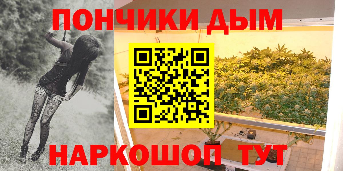Шишки марихуана тримм  Вход с VPN  МАРИХУАНА индика  МАРИХУАНА Bruce Banner  Кострома  Каннабис тримм 